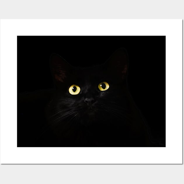 Black Cat in Darkness Wall Art by kawaii_shop